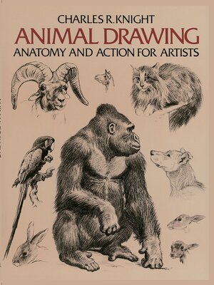 cover image of Animal Drawing